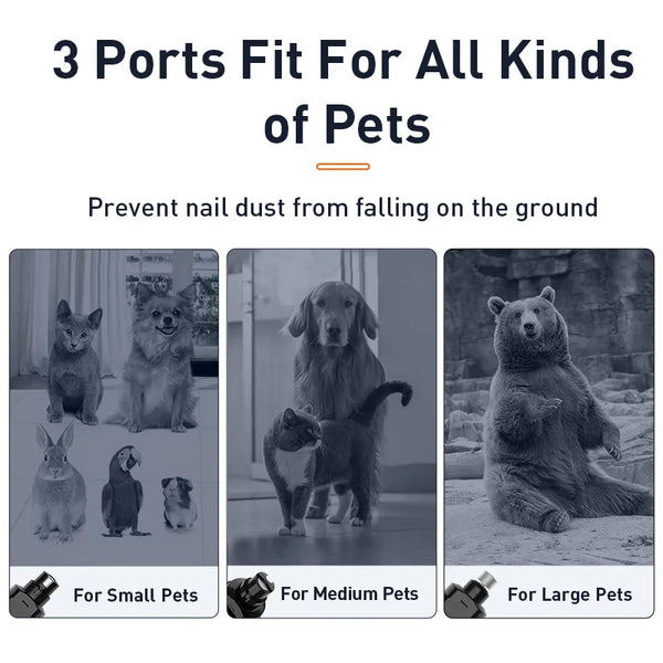 Using the PawPerfect grinder with LED light on a paw
