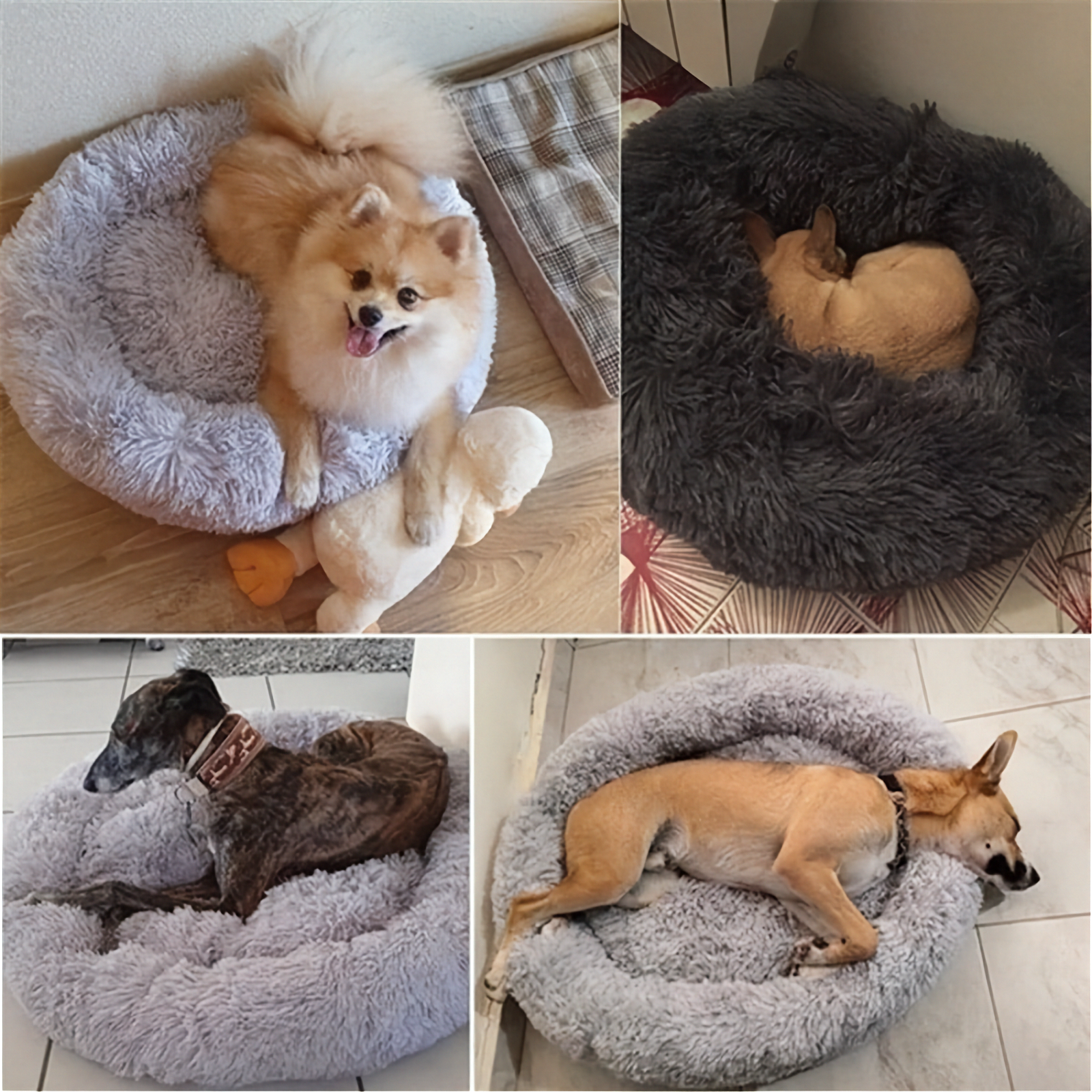 AuraNest Calming Donut Bed